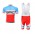 2014 BMC Racing Teams Fahrradbekleidung Radteamtrikot Kurzarm+Kurz Radhose Kaufen CMHP2