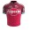 2017 Katusha Fahrradtrikot Radsport 7ZNET
