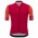 Santini Redux Rot Fahrradbekleidung Radtrikot 8X53A