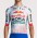 Bekleidung Herren Specialized Red Bull Bora-Hansgrohe 2025 Race trikot-Tdf