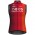 Bekleidung Herren Gobik Ineos Grenadiers 2025 Plus 2.0 weste