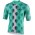 BIANCHI MILANO Roncaccio 2020 Radtrikot kurzarm Grün